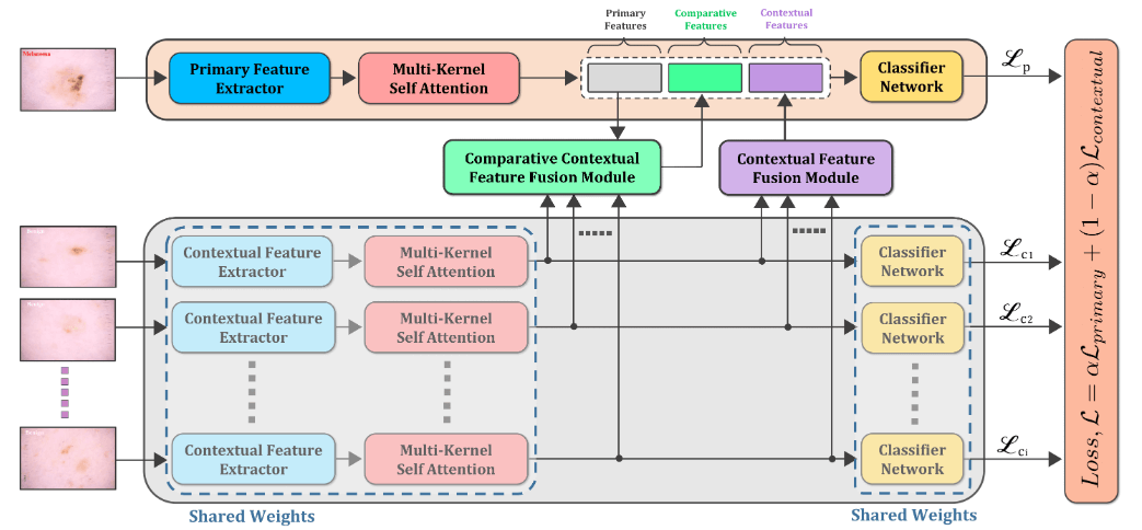 CIFF-Net.png