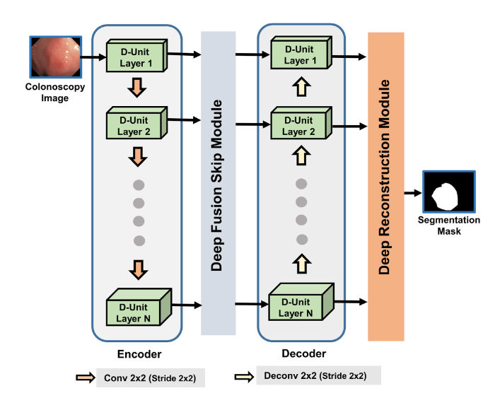 polypsegnet.png