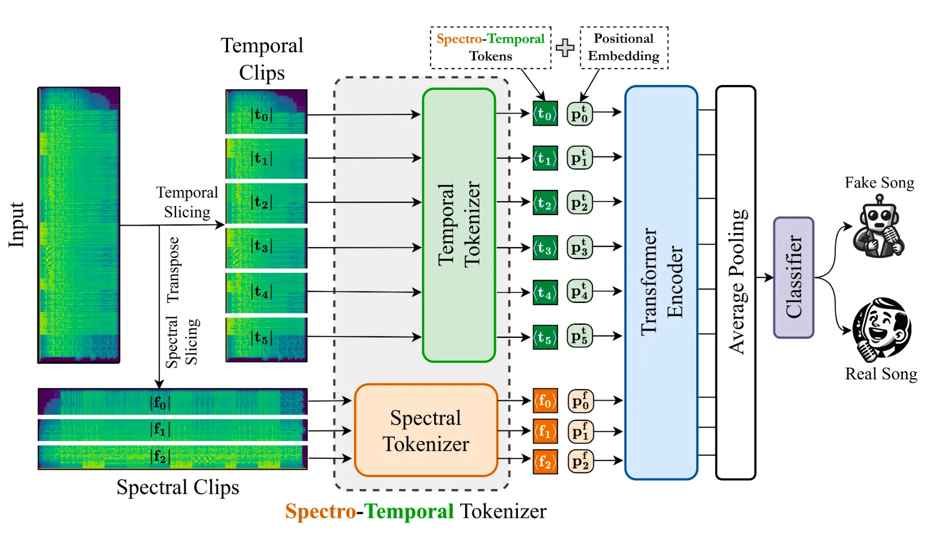 SpecTTTra model1